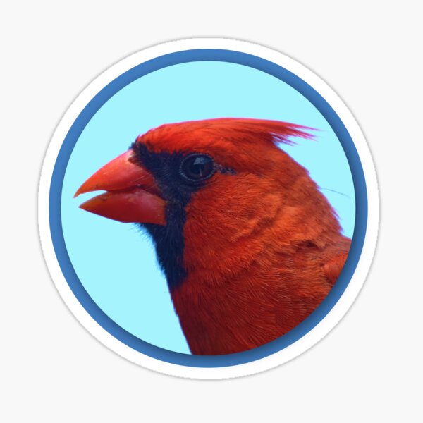Cardinal Portrait Sticker