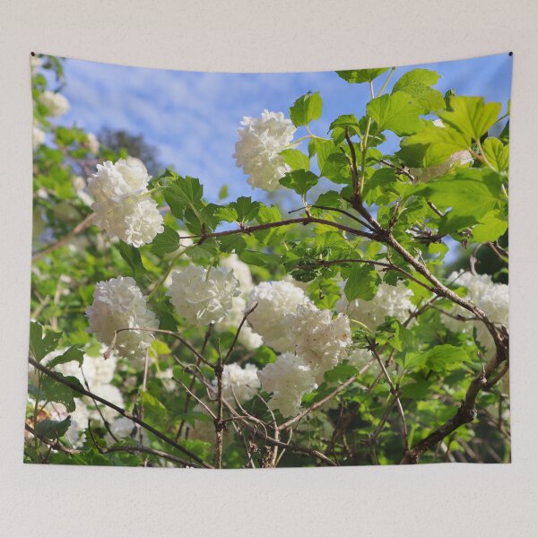 Item preview, Flowering Snowball Bush with Delicate White Petals Bright Green Leaves and A Deep Blue Sky designed and sold by PrettyLittlePic.