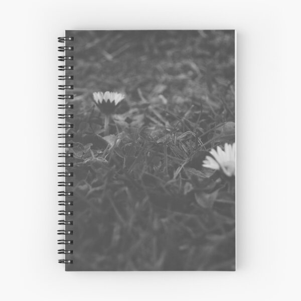 Item preview, Beautiful Daisy Photography in Monochrome designed and sold by solarflared.