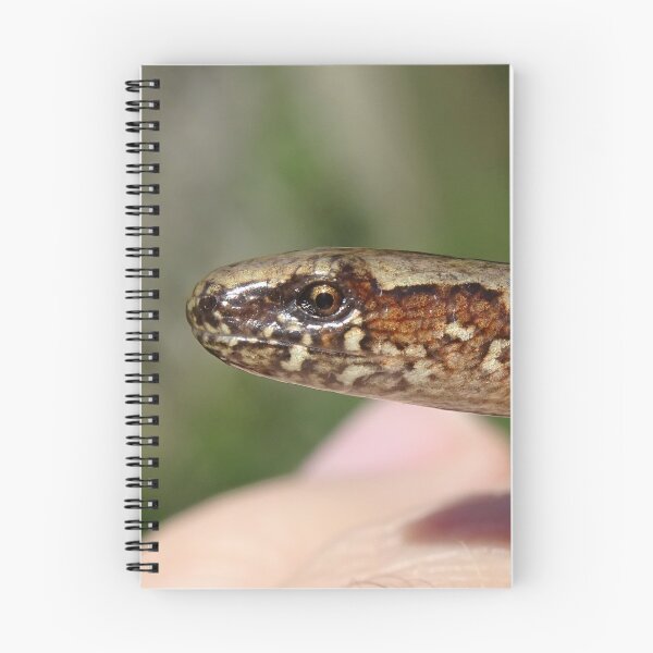 Item preview, Slow Worm designed and sold by Ancient Realms.
