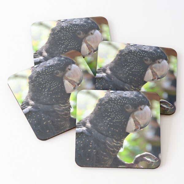 Item preview, Black Cockatoo designed and sold by Boxkitty.
