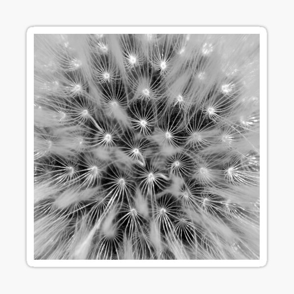 Item preview, Plumes designed and sold by Jujuzinha21.