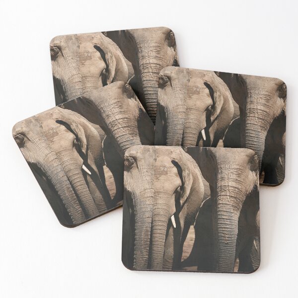 Item preview, Elephants of Addo Elephant Park designed and sold by Nicole Shea.