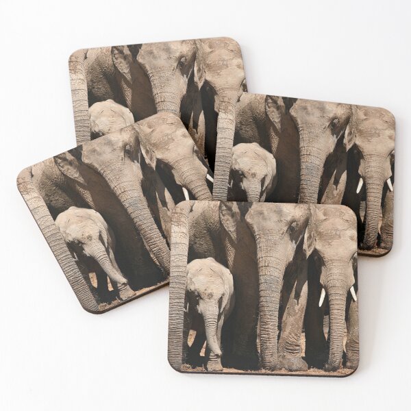 Item preview, Family - Elephants of Addo Elephant Park designed and sold by Nicole Shea.