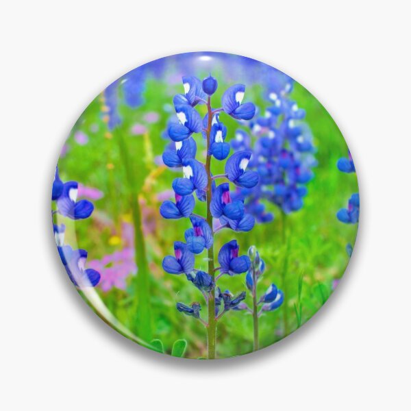 Item preview, Young Bluebonnets designed and sold by seatheskies.