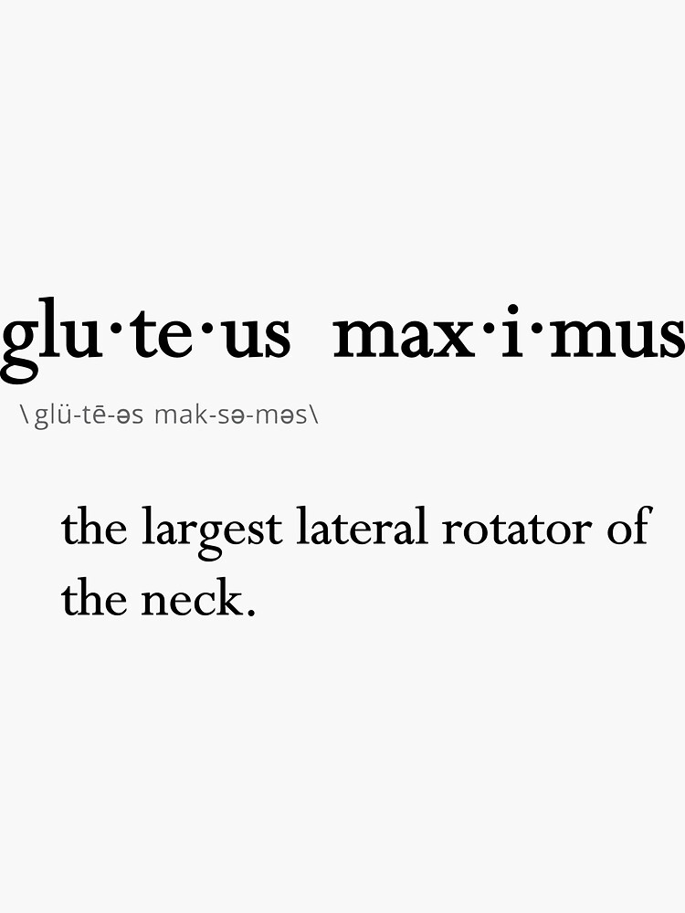"Funny Gluteus Maximus Anatomy Definition" Sticker by