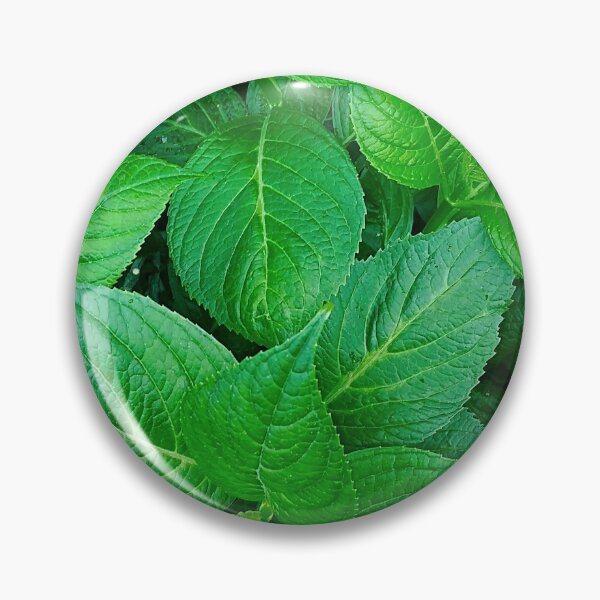 Item preview, Green LeavesPatterm Photographic print designed and sold by marvacousins246.