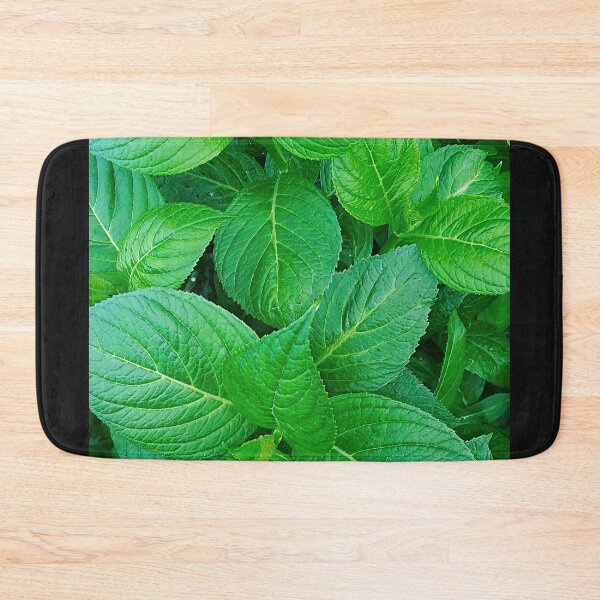 Item preview, Green LeavesPatterm Photographic print designed and sold by marvacousins246.