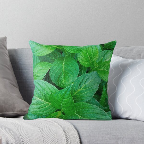 Item preview, Green LeavesPatterm Photographic print designed and sold by marvacousins246.