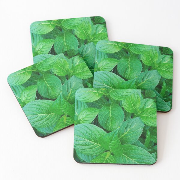Item preview, Green LeavesPatterm Photographic print designed and sold by marvacousins246.