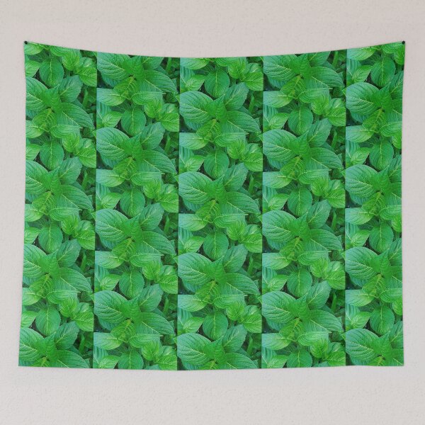 Aperçu de l'œuvre Feuilles vertesMotif Impression photo créée et vendue par marvacousins246.