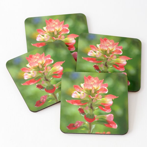 Item preview, Painted With Light Close-Up designed and sold by K D Graves Photography.