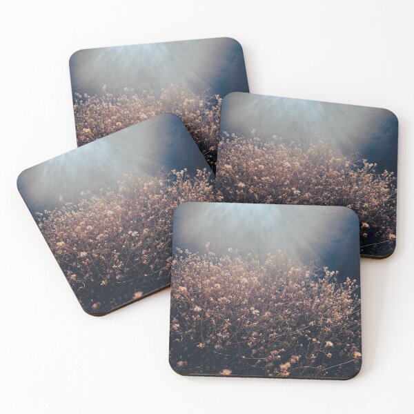 Item preview, Beautiful Sunbeam Through Wildflowers Vintage Photograph designed and sold by kpifer.
