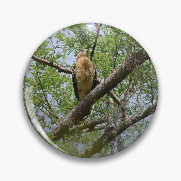 Item preview, Owning Her Domain designed and sold by Michiale.