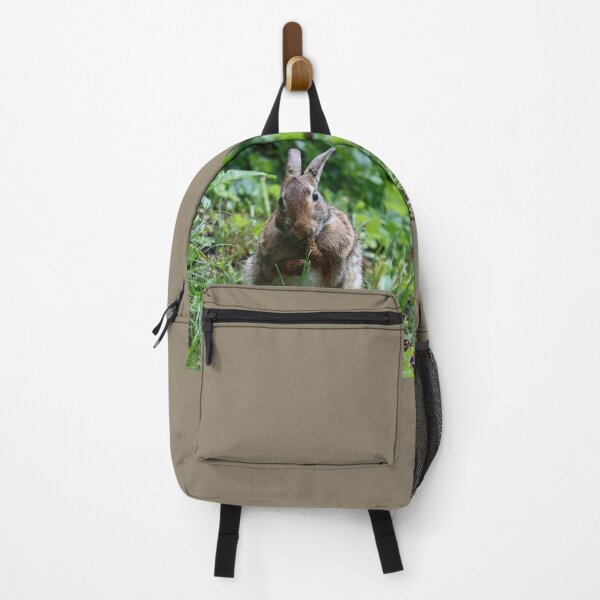 Item preview, Cottontail Licking its Paws designed and sold by LisaNaturePhoto.