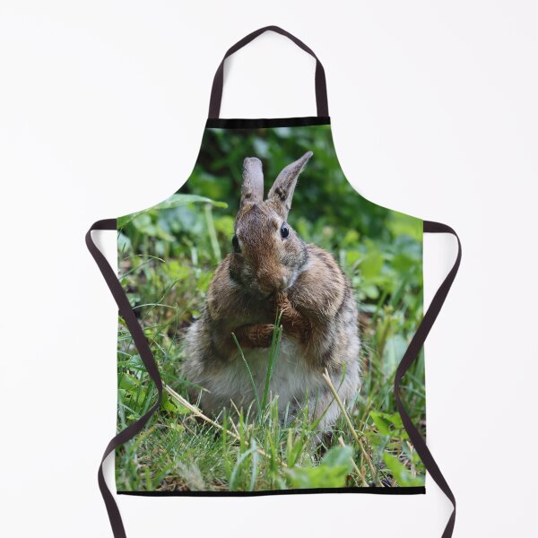 Item preview, Cottontail Licking its Paws designed and sold by LisaNaturePhoto.