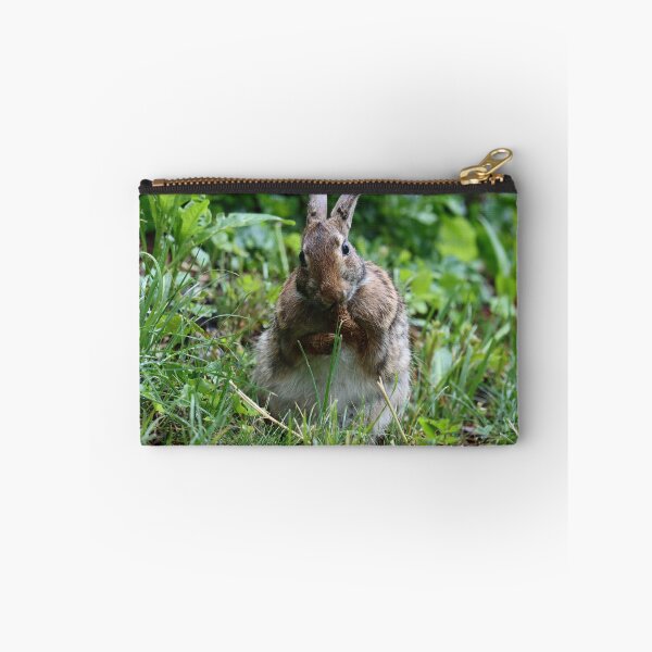 Item preview, Cottontail Licking its Paws designed and sold by LisaNaturePhoto.