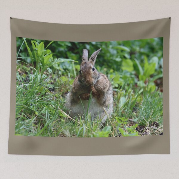 Item preview, Cottontail Licking its Paws designed and sold by LisaNaturePhoto.
