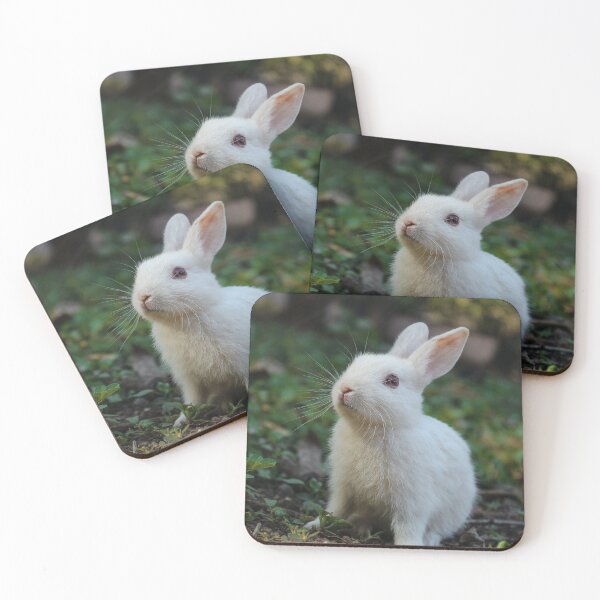 Item preview, Adorable little bunny  designed and sold by Lhadjisdaname.