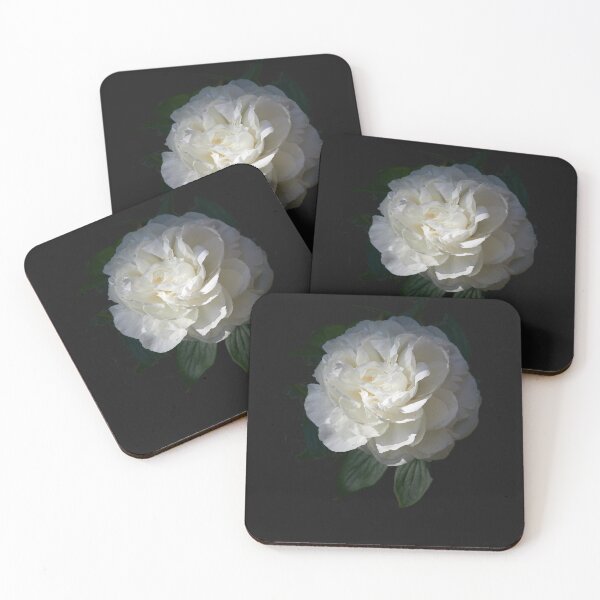 Item preview, Chinese Peony Shirley Temple 3 transparent Sticker designed and sold by FrewinMason.