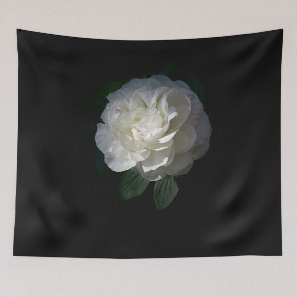 Item preview, Chinese Peony Shirley Temple 3 transparent Sticker designed and sold by FrewinMason.