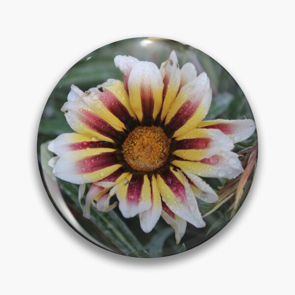 Item preview, Funky Flower designed and sold by PhotosByTrent.