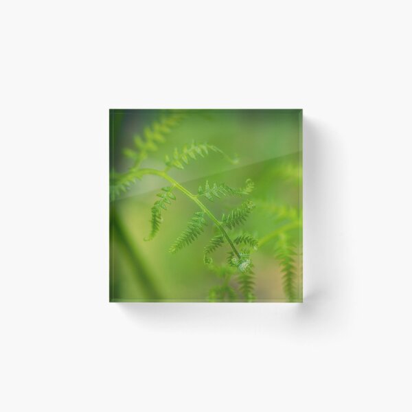 Item preview, Bracken 2 designed and sold by Veikko  Suikkanen.