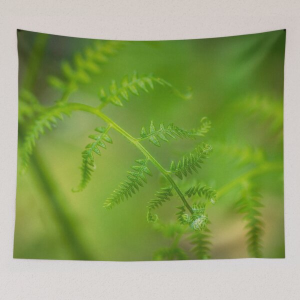 Item preview, Bracken 2 designed and sold by Veikko  Suikkanen.