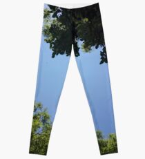 Trees x Cloudless Skies Leggings