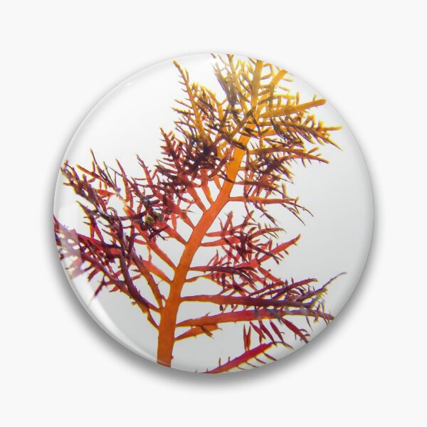 Item preview, Seaweed#2 designed and sold by dPhoto9.