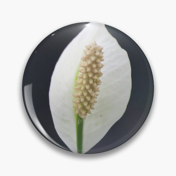 Item preview, Lily Print designed and sold by EmmaMcDowell04.
