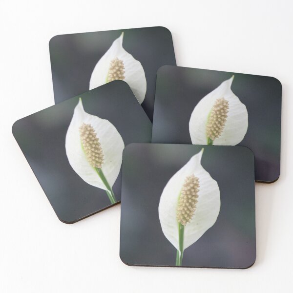 Item preview, Lily Print designed and sold by EmmaMcDowell04.