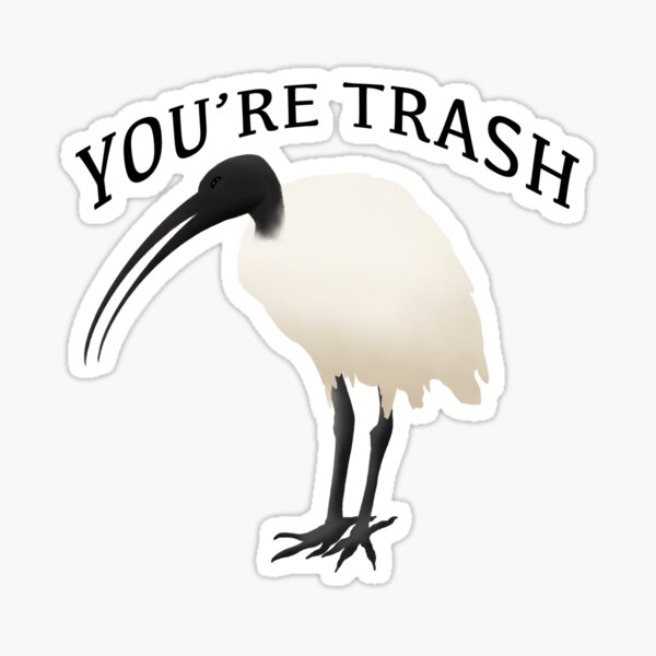Artikel-Vorschau von Du bist ein Mülleimer-Huhn - ibis, designt und verkauft von KebAbi.