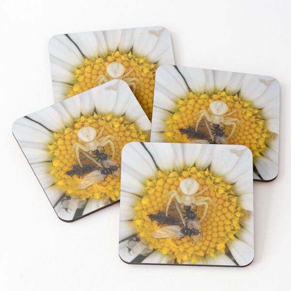 Item preview, Tiny crab spider (likely male Misumena vatia) with lots of prey designed and sold by SDym Photography.
