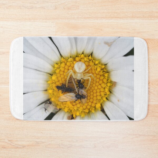 Item preview, Tiny crab spider (likely male Misumena vatia) with lots of prey designed and sold by SDym Photography.