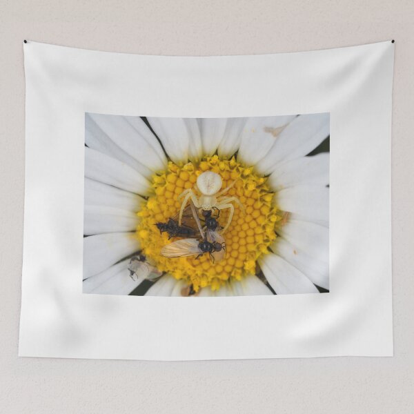 Item preview, Tiny crab spider (likely male Misumena vatia) with lots of prey designed and sold by SDym Photography.