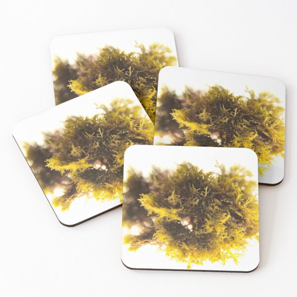 Item preview, Seaweed#1 designed and sold by dPhoto9.