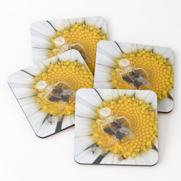 Item preview, Tiny crab spider (likely male Misumena vatia) with lots of prey designed and sold by SDym Photography.