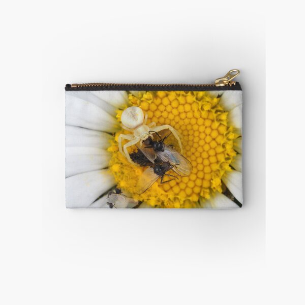 Item preview, Tiny crab spider (likely male Misumena vatia) with lots of prey designed and sold by SDym Photography.