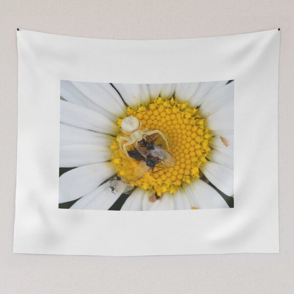 Item preview, Tiny crab spider (likely male Misumena vatia) with lots of prey designed and sold by SDym Photography.