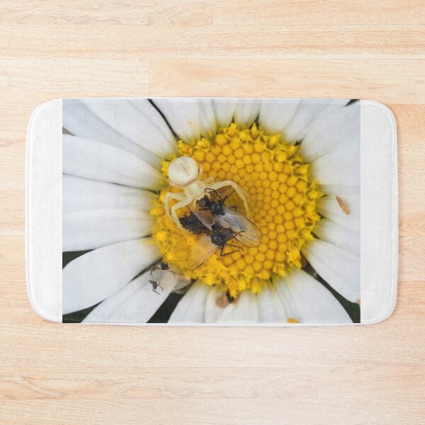 Item preview, Tiny crab spider (likely male Misumena vatia) with lots of prey designed and sold by SDym Photography.
