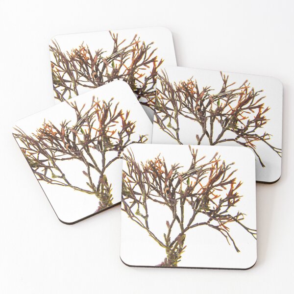 Item preview, Seaweed#3 designed and sold by dPhoto9.