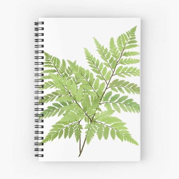 Item preview, Fern painting designed and sold by Zela.