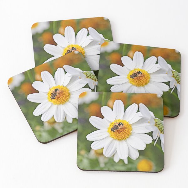 Item preview, Daisy + Hoverfly designed and sold by John Thurgood.