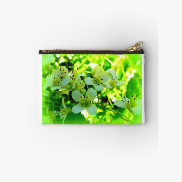 Item preview, Nasturtium officinale, berro silvestre designed and sold by angel1.