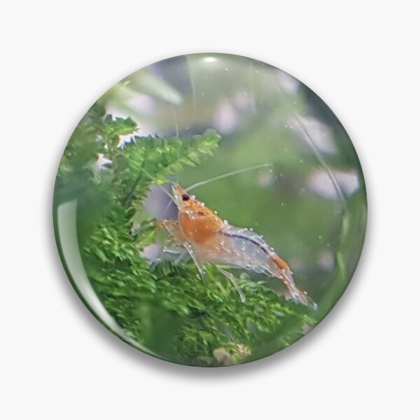 Item preview, Orange Rili Shrimp Exploring Moss Forest designed and sold by redbirdswim.