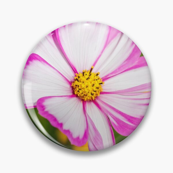Item preview, Cosmos Candy Stripe Flower designed and sold by Tanya C  Smith.