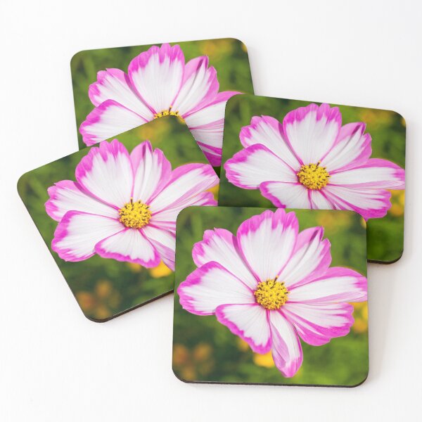 Item preview, Cosmos Candy Stripe Flower designed and sold by Tanya C  Smith.