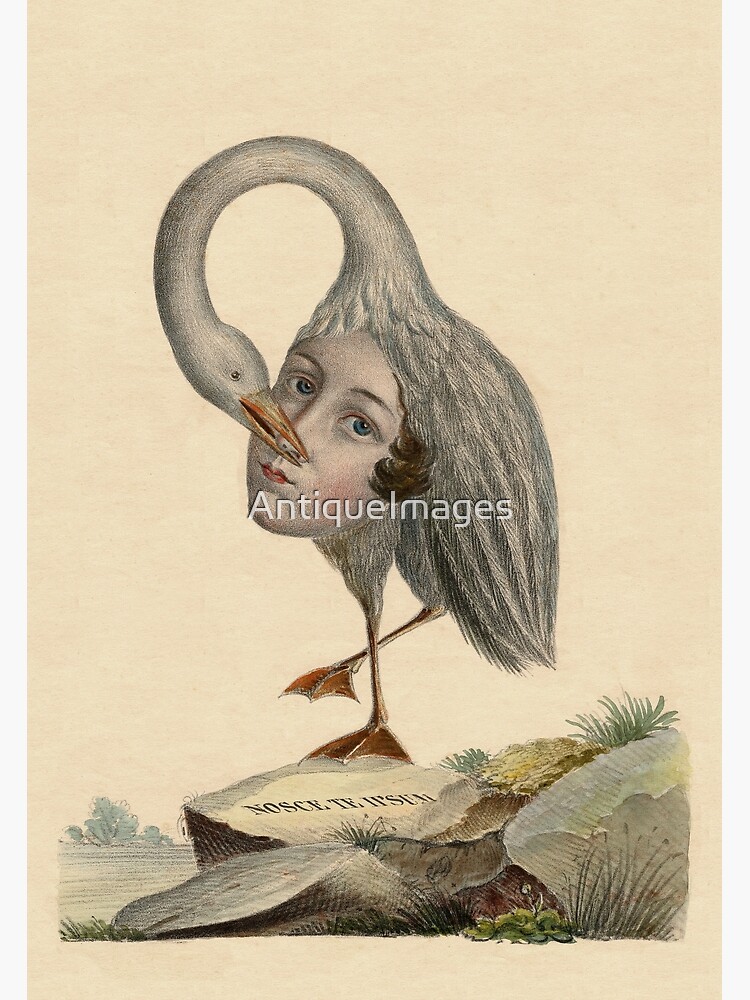 Bird of Self Knowledge Unique Vintage Image