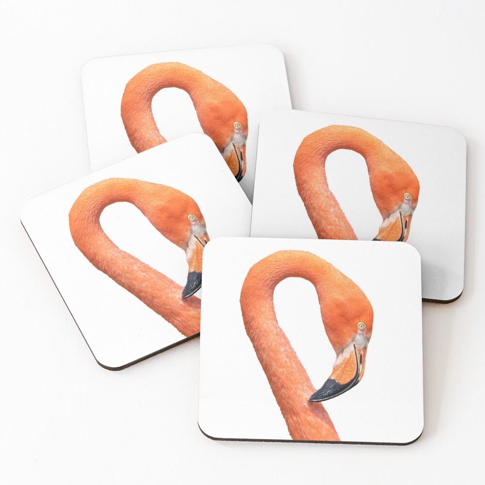 Photograph of a Flamingo Coasters (Set of 4)